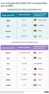 Gamma steht für die in brasilien nachgewiesene variante p.1. Coronavirus La Variante Que Llego A Brasil Por La Copa America Es Mas Transmisible Y Tiene Una Mutacion Inedita Bbc News Mundo