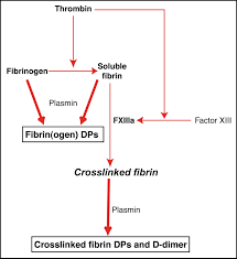 Image result for Fibrinogen