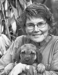 American Chesapeake Club