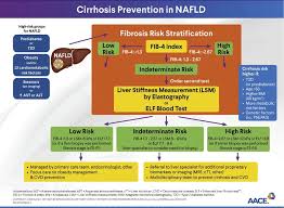 Image result for Fibrosis Probability Score
