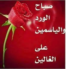 Pin By وردة الياسمين On صباح الخير Morning Images Good Morning Good Evening
