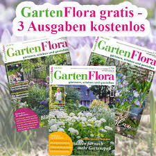 Bitte nutzen sie derzeit die sprechzeiten nur. Gartenflora Und Andere Gartenzeitungen Kostenlos Lesen