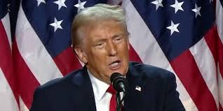 Vivek Ramaswamy tried to wear Trump's shoes. Chris Christie knocked them  off.