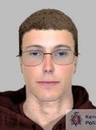 Teen spotted lurking in Romney Marsh woods before attempting to rape lone  woman