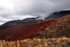 In unserem nachrichtenticker können sie live die neuesten eilmeldungen auf deutsch von portalen, zeitungen, magazinen und blogs lesen sowie nach älteren meldungen suchen. Gefahrliches Neuseeland Vulkane Erdbeben Co Weltwunderer