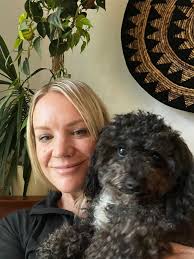 Missing chocolate merle poodle in south Wichita