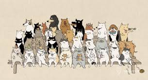 kiinii x 手工客叫醒生活的人 cats illustration cat art cat drawing