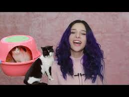 Pratik Ve Ucretsiz Kedi Evi Yapimi Youtube