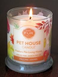 At house pets, our knowledgeable staff is here to help keep your pets happy and healthy. Pin On Must Love Pets