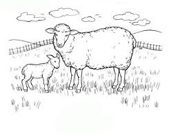 Malvorlagen Schaf Gratis Coloring And Malvorlagan