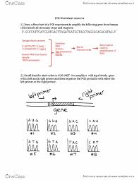 Transcription and translation worksheet answer key pogil activities for ap biology answer key gene expression may 10th 2018 this course is designed to be the equivalent of a college introductory. Codon Worksheet Answers Adaptdecor Co
