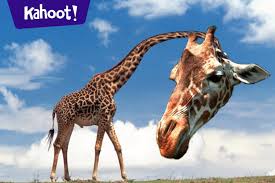 Animal cells are mostly round and irregular in shape while plant cells have fixed, rectangular shapes. Play Kahoot Plant And Animal Adaptations