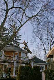 We offer a variety of residential services to help you maintain a vibrant landscape. Arelica Tree Service Of Warren Home Facebook