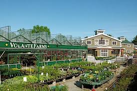 Maybe you would like to learn more about one of these? Volante Farms Needham Menu Prices Restaurant Reviews Tripadvisor