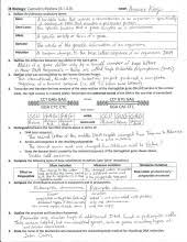 Biology archive may 15 2017 from meiosis worksheet answer key , source: Ib Chromosomes Meiosis Review Key 3 1 3 3