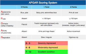 Apgar Scoring System Rosh Review Apgar Score Scoring