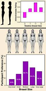 Check spelling or type a new query. Just How Important Is Breast Size In Attraction Psychology Today