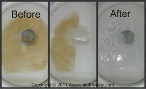 Apr 03, 2021 · a porcelain toilet bowl is a prime place for bacteria, viruses, calcium stains, nasty odors, and limescale to lurk. How To Get Rid Of A Hard Water Stain Independent Watkins Consultant Melody Thacker