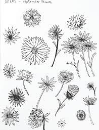 Delightedco Com Retail Brand Name For Sale Birth Flower Tattoos Aster Flower Tattoos Flower Sketches