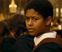 FRAGRA DIMAIXX !!!!: ESPECIAL HARRY POTTER 28 !!!