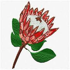 Embroidery Designsproteas Embroidery Designs South African National Flower Popular Embroidery Embroidery Flowers Embroidery Designs