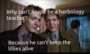 We did not find results for: Potions Not Herbology Harrypotter