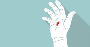 Lutheran Witness: June/July 2017