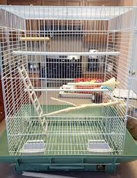 However, it is generally best to buy the largest cage you can reasonably have in your home and which has safe bars for your bird. How To Set Up A Birdcage For A Parakeet Or Cockatiel Pethelpful