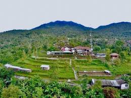 1990 tentang pengelolaan kawasan lindung dan perda kabupaten serang nomor 2 tahun 1994 tentang pola dasar kabupaten serang yang menetapkan rawa danau sebagai cagar alam. Cagar Alam Rawa Danau Wisata Serang Banten