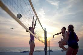 Cobra net systems designs volleyball net systems for residential and commercial customers. Action Packed Clearwater Beach Has Volleyball Nets Playground Slide And More Picture Of Clearwater Florida Tripadvisor