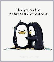 Even in the largest of their colonies, these penguins will call out to their partner until their find it. Sunday Funny Penguin Quotes 141 Best Caden Penguins Dogtrainingobedienceschool Com