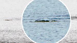 Loch Ness Monster 'spotted' emerging from depths of water in unseen footage  - Daily Record