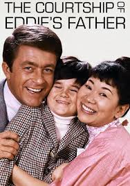 Widower Tom Corbett struggles to raise his son. 1969/3 Seasons