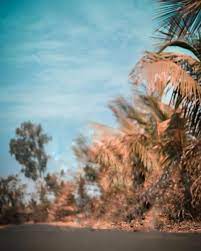 Pin By Lightroom Cc 2019 On Khira Dslr Background Images Blurred Background Photography Love Background Images