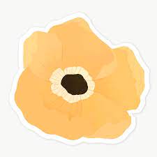 Orange Poppy Flower Sticker Transparent Png Premium Image By Rawpixel Com Katie Moir Poppy Flower Orange Poppy Transparent Stickers