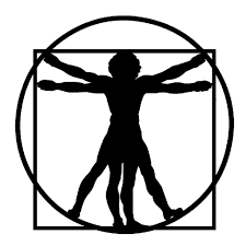 Cropped 24442130 Leonardo Da Vinci S Vitruvian Man Stock Photo 1 Png Pr Gomez Almost files can be used for commercial. cropped 24442130 leonardo da vinci s