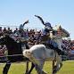 Gulf Coast Renaissance Faire