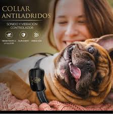 EveryKip Collar Antiladridos Premium Automático