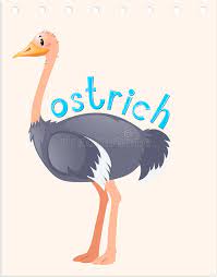 She already holds three world records for dribbling multiple balls at once, and has appeared in an advertisement with the nba megastar stephen curry. Wordcard For Wild Ostrich Stock Vector Illustration Of Spell 81167980