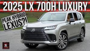 Image result for Manganese Luster 2025 LZ