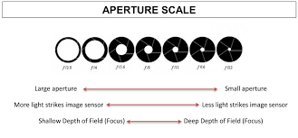 aperture f stop photographer org