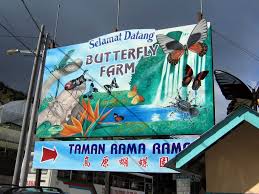 Mari kita simak penjelajahannya di bawah ini. Cameron Highlands Butterfly Farm