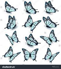 Collection Blue Butterflies Flying Different Directions Stock Vector Royalty Free 475383208 Butterfly Drawing Butterfly Art Painting Blue Butterfly