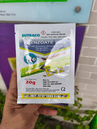 Ebenzoate 5WG