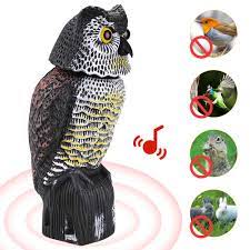 Check spelling or type a new query. Garten Dekoration Eule Statue Erschrecken Vogel Ratten Entfernt Mit Tweets Eule Terrasse Decor Bewachung Verteidigen Garten Repellents Aliexpress