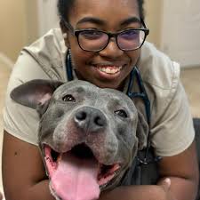 THE BEST 10 EMERGENCY PET HOSPITAL in PARKLAND, FL