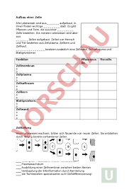 Arbeitsblatt über zellen / arbeitsblatt: Arbeitsblatt Die Zelle Biologie Zellbiologie Cytologie