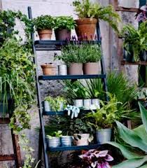 8 Things You Never Knew You Could Get At Ikea Plants Outdoor Pots Ikea Garden