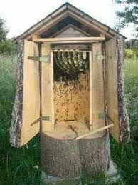 I Don T Know The Purpose Of The Style Of Housing They Probably Don T Intend To Work It Bienenzucht Im Garten Bienenbeute Bienenhaus