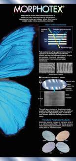 Biomimicry Structural Color Structural Color Biomimicry Examples Biomimicry Architecture